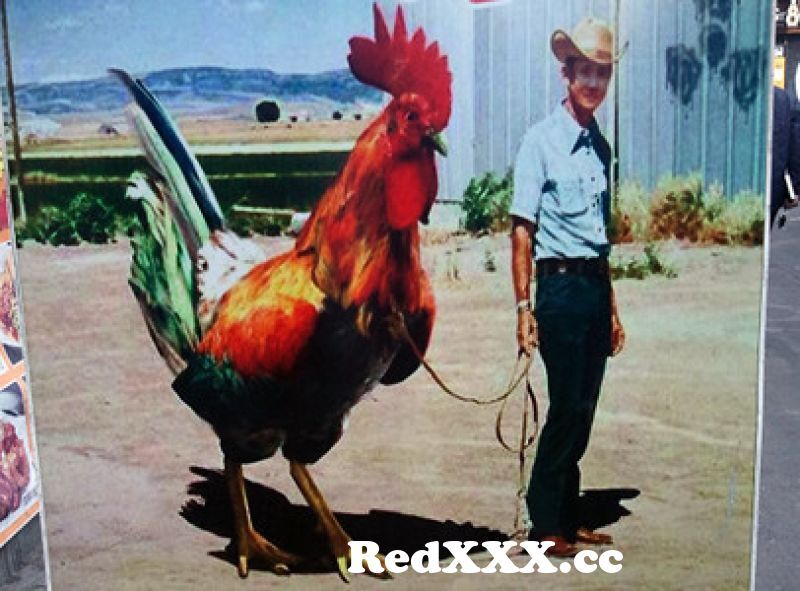 Abnormally Giant Cock