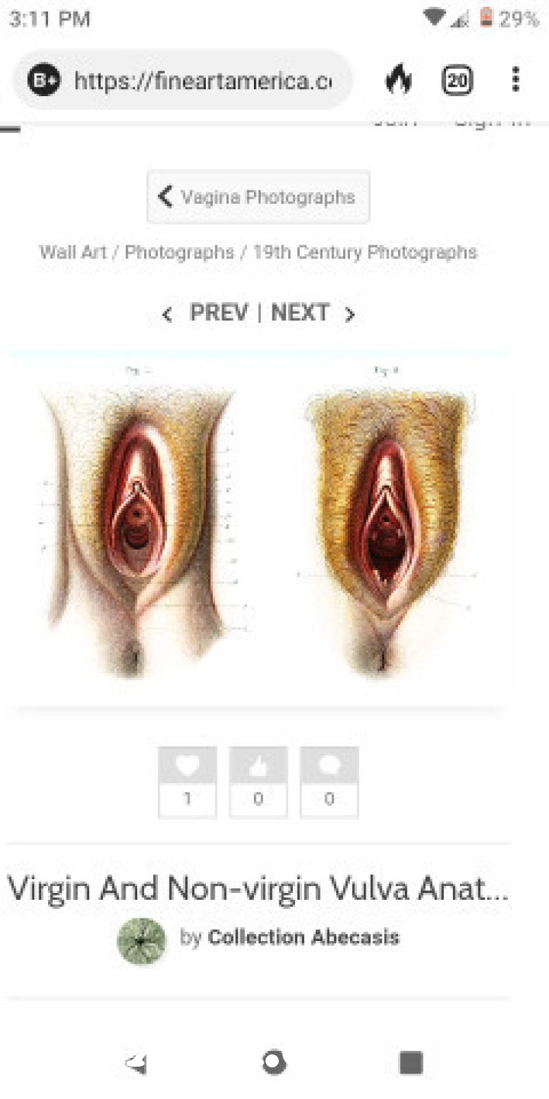 Virgin Pussy Hymen Tiny Hole