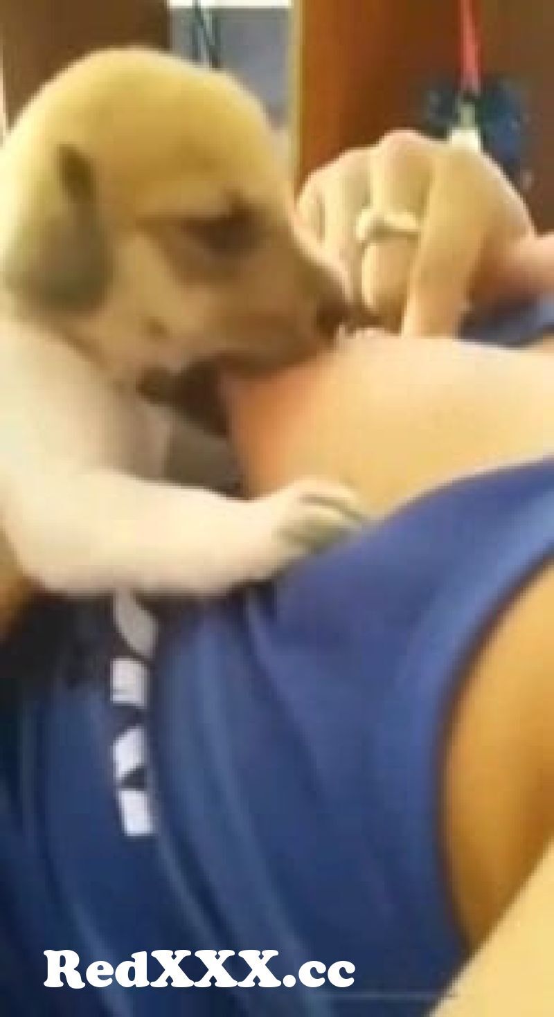 Woman breastfeeding puppies porn