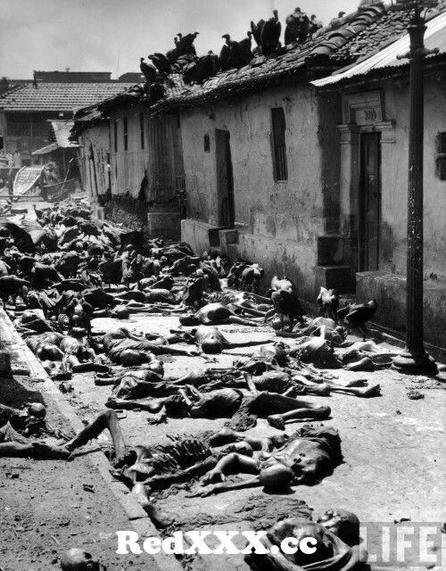 View Full Screen: vultures feeding on corpses of the victims of the post partition violence in an indian village 1947.jpg