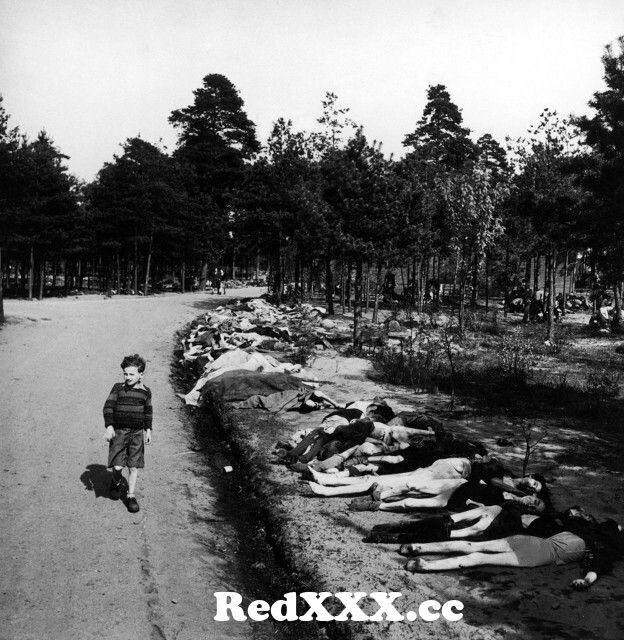 View Full Screen: young german boy walks along a road lined with the corpses of prisoners who were killed at bergen belsen near the town b.jpg