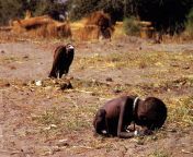 The vulture and the little girl March 1993 Sudan [1600x1067] from sex girl sudan deb