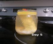 Day 5: boner broth = bone broth, raw egg, and….. a stick of fucking butter 🧈 from broth room sex