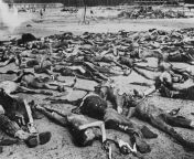 The bodies of prisoners of the Bergen-Belsen concentration camp on the parade ground before burial. April 1945. from hlbalbums pk bergen