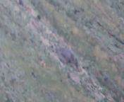 1150 mtr Shot video or the fallow buck for those who wanted to see the video. Bullet pinholed and blew dust up behind perfect double lung shot from karton xxxx porn video dawnload opne shot